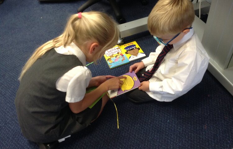 Image of Ducklings and their new Book Buddies