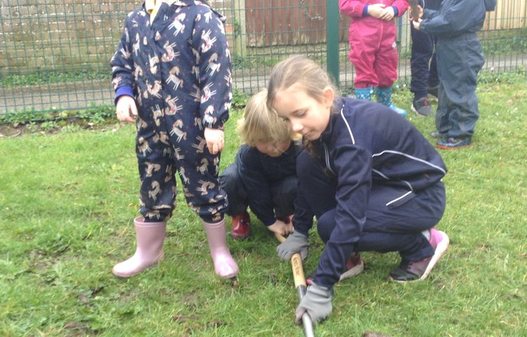 Image of Tree Planting