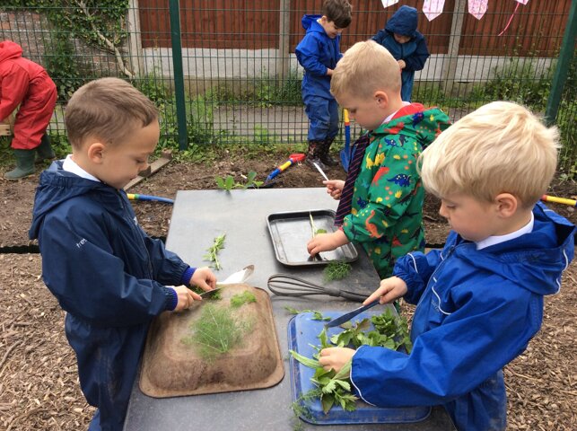 Image of Our new mud kitchen