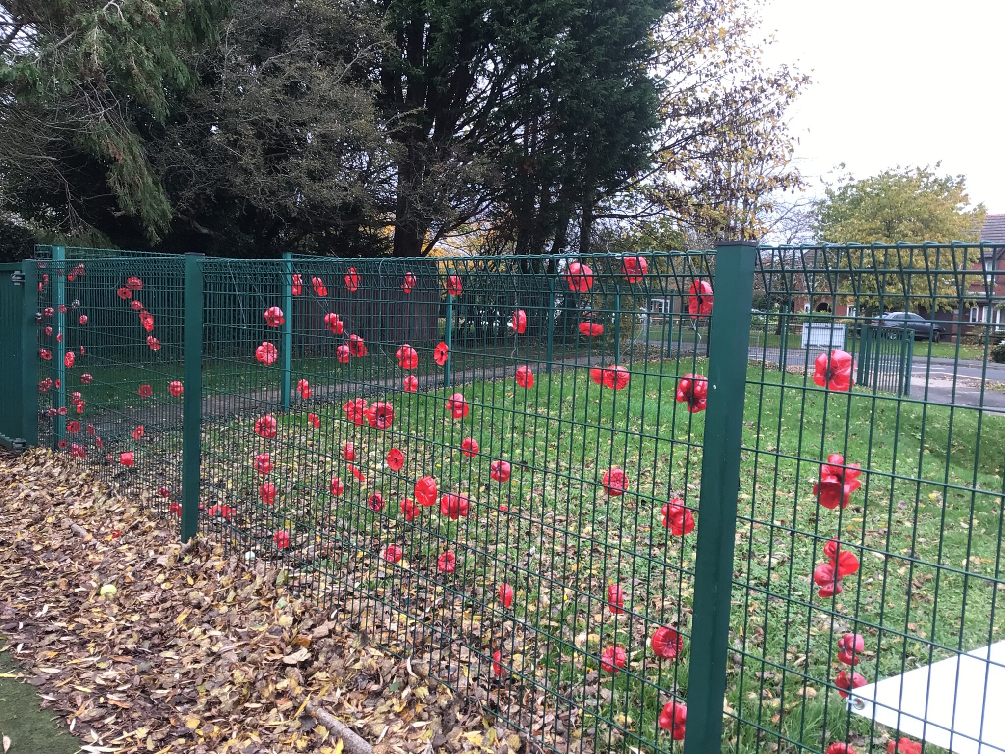 Image of Remembrance Day