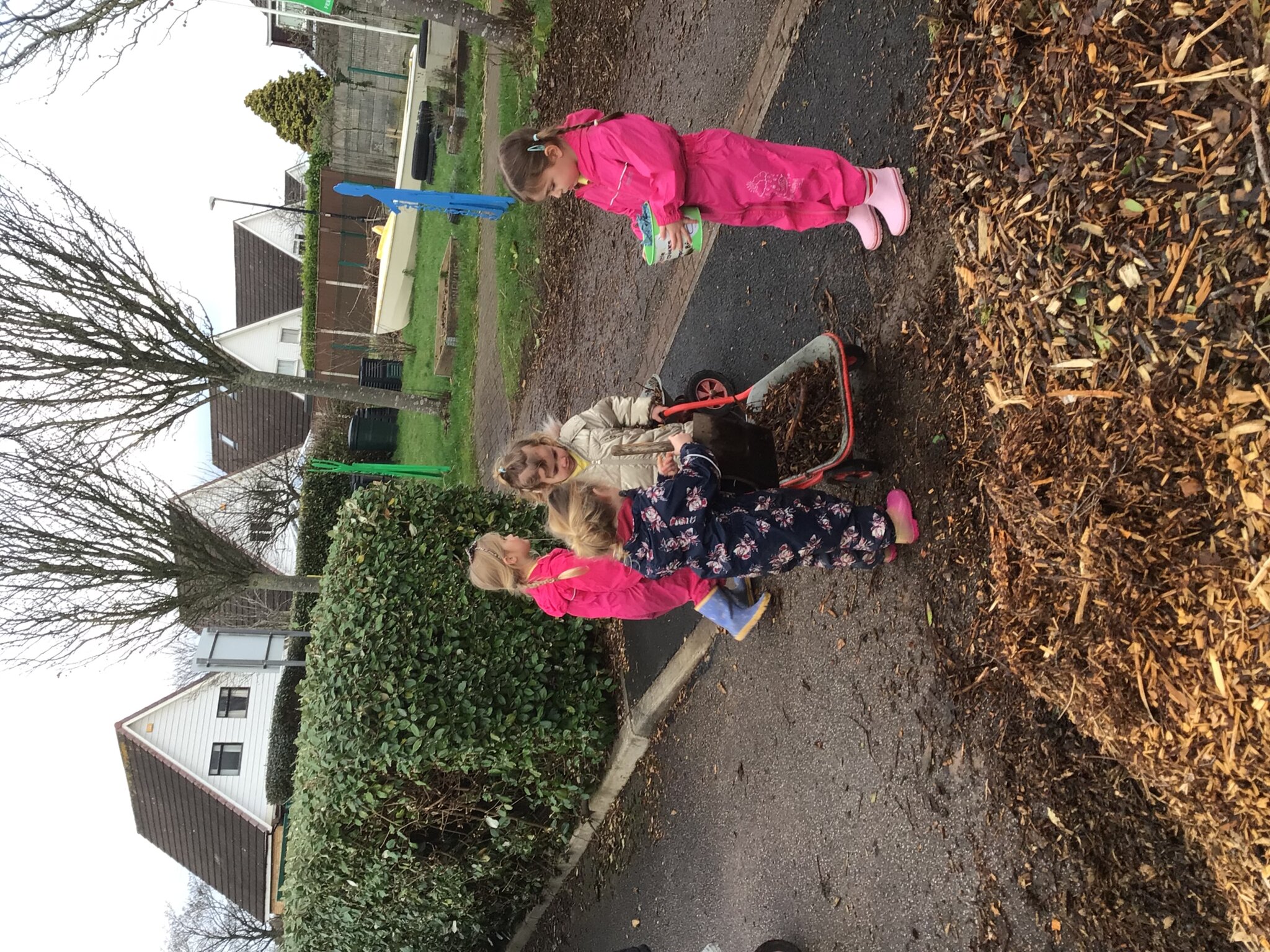 Image of Little Chicks helping in the garden