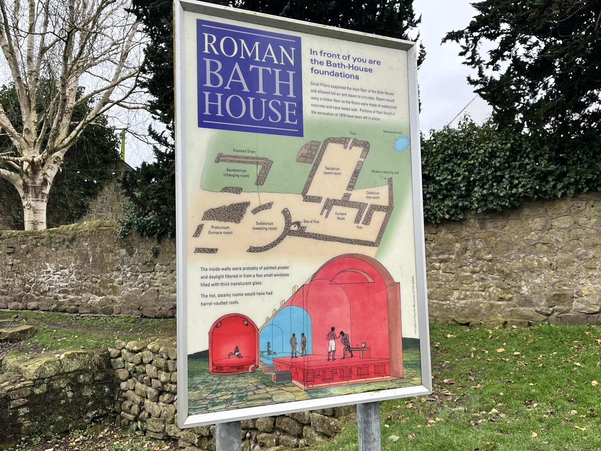 Image of Owls Ribchester Museum trip