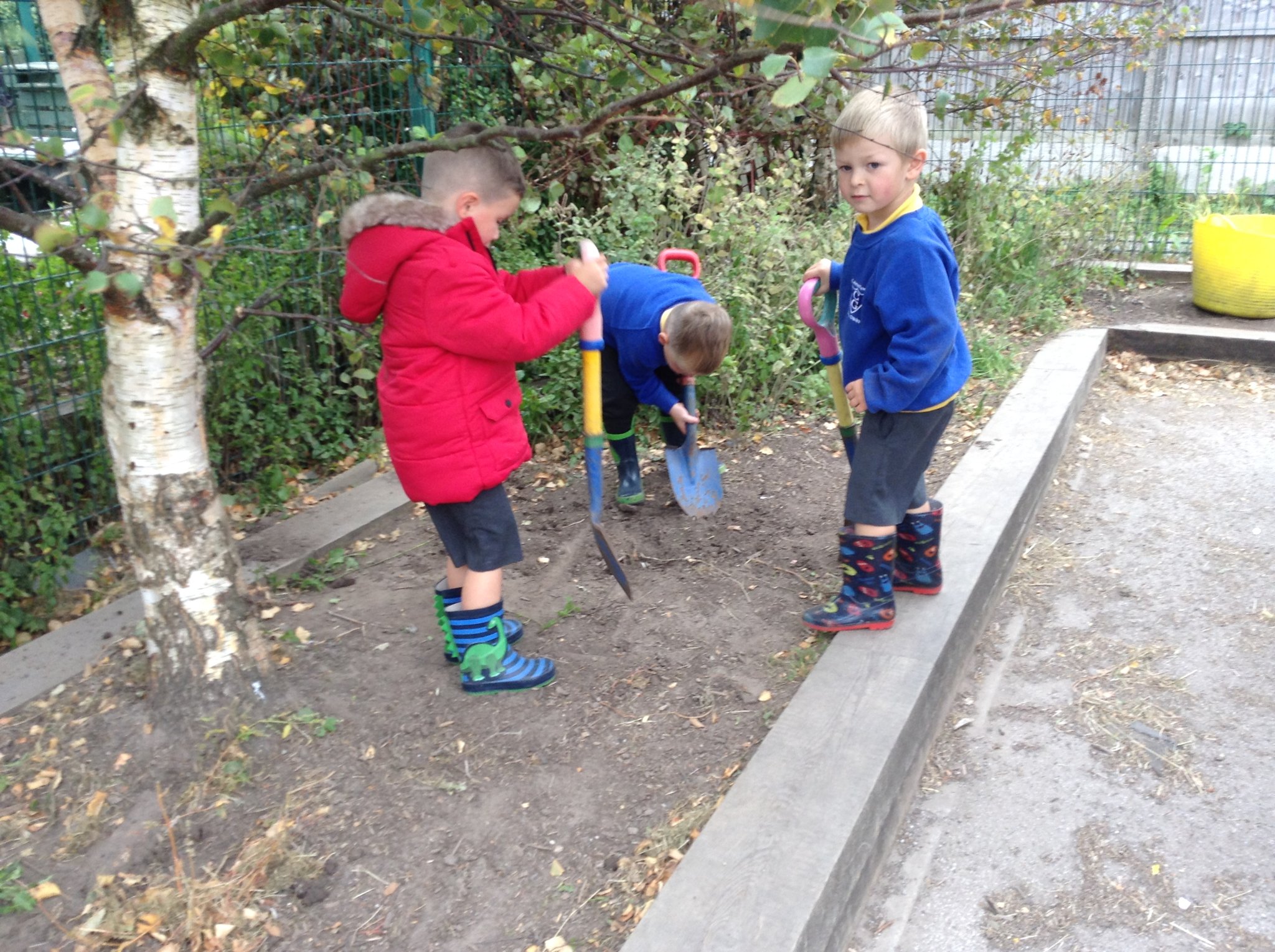 Image of Little Chicks Gardening