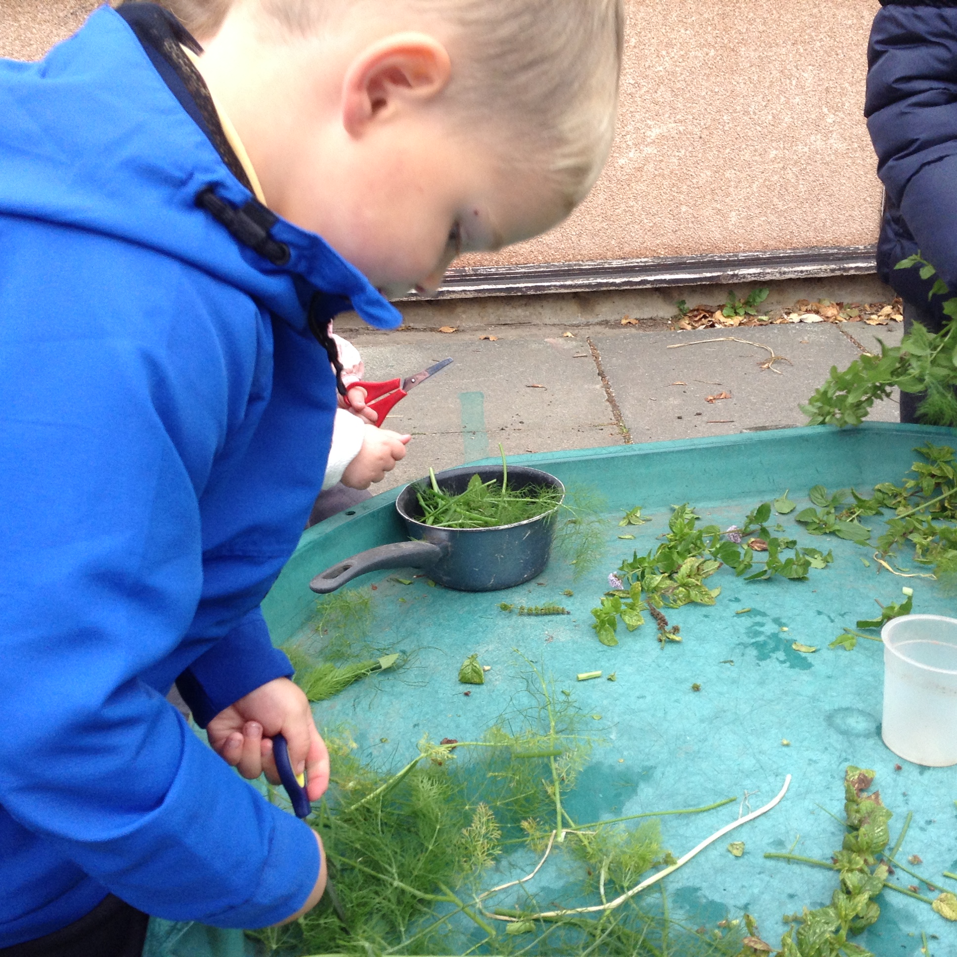 Image of Cutting herbs and paper