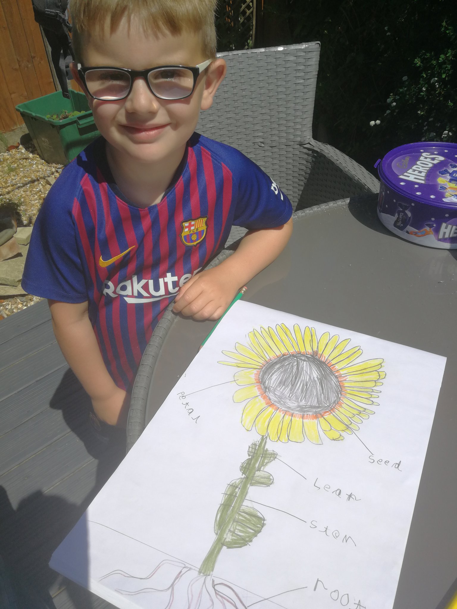 Image of Sun and sunflowers