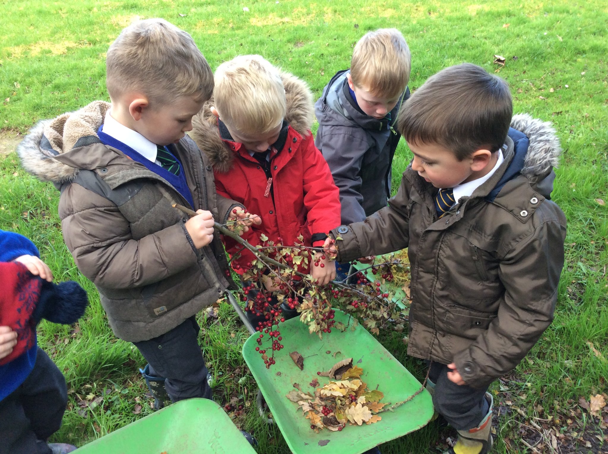 Image of Collecting Autumn Treasures