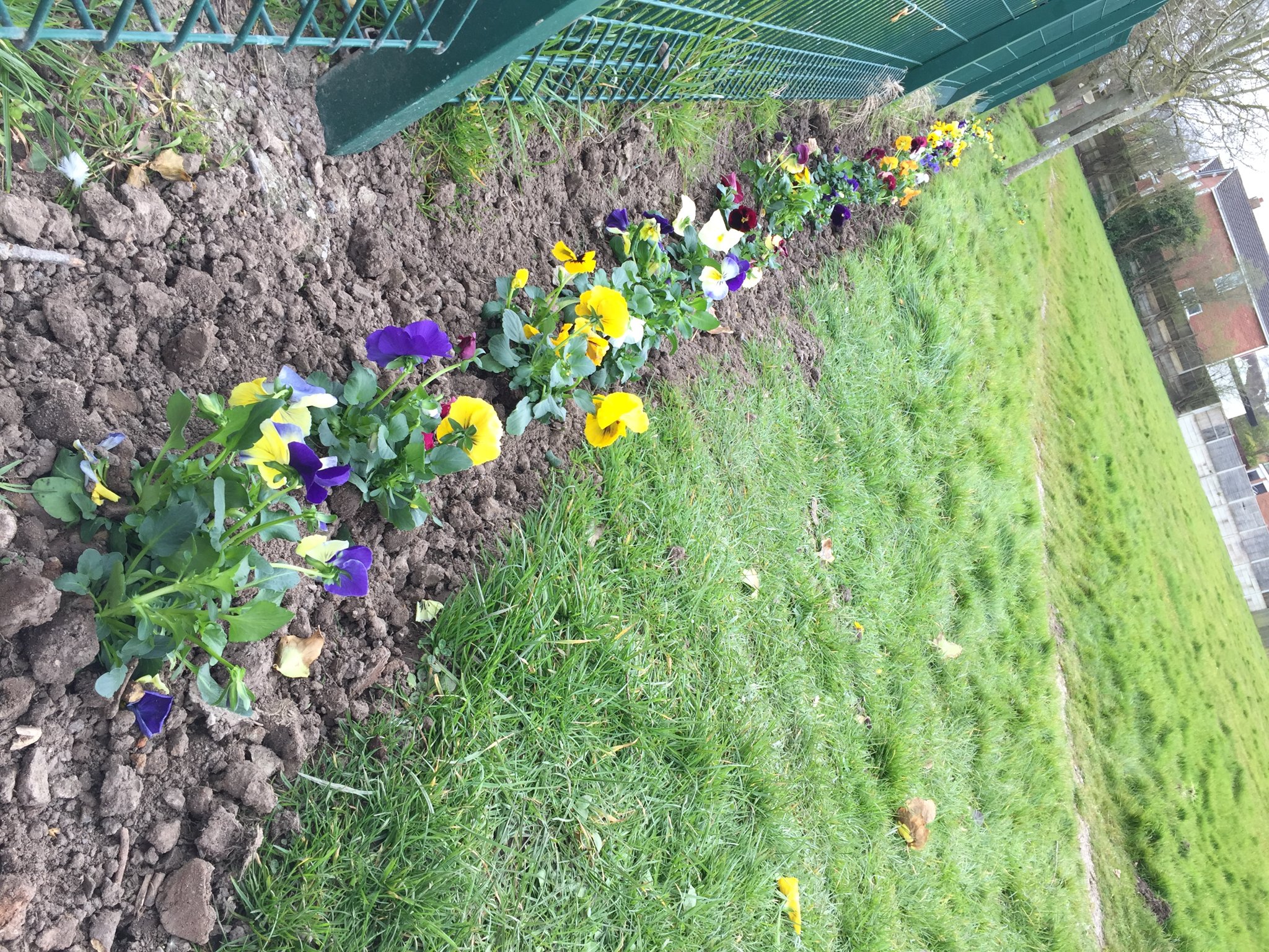 Image of Gardening