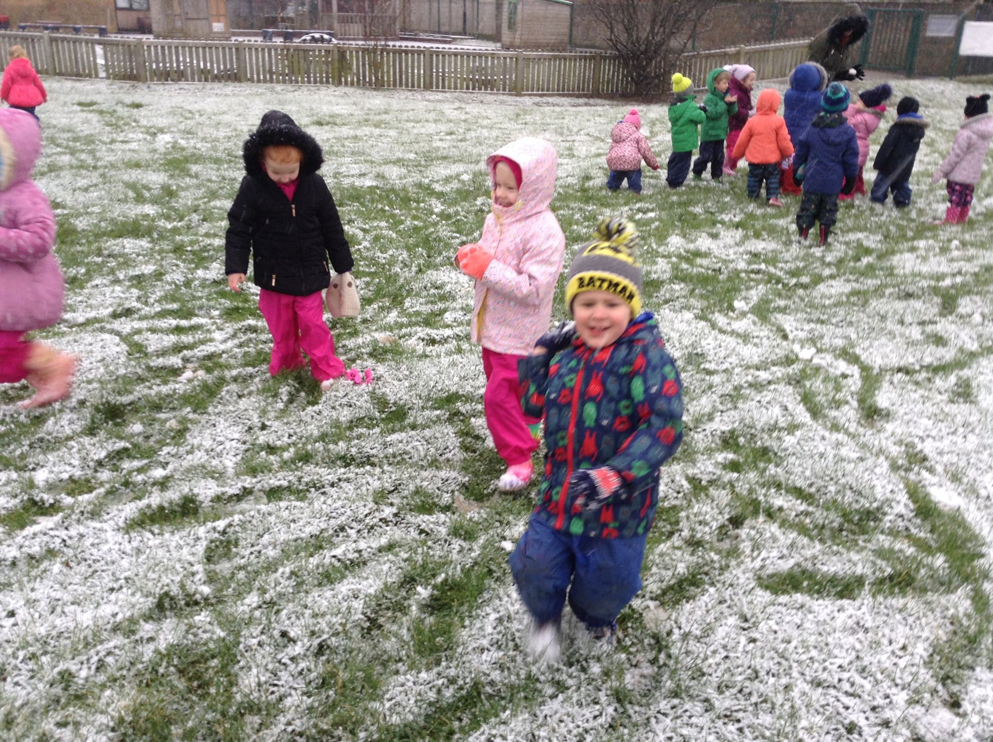 Image of Little Chicks have fun in the snow