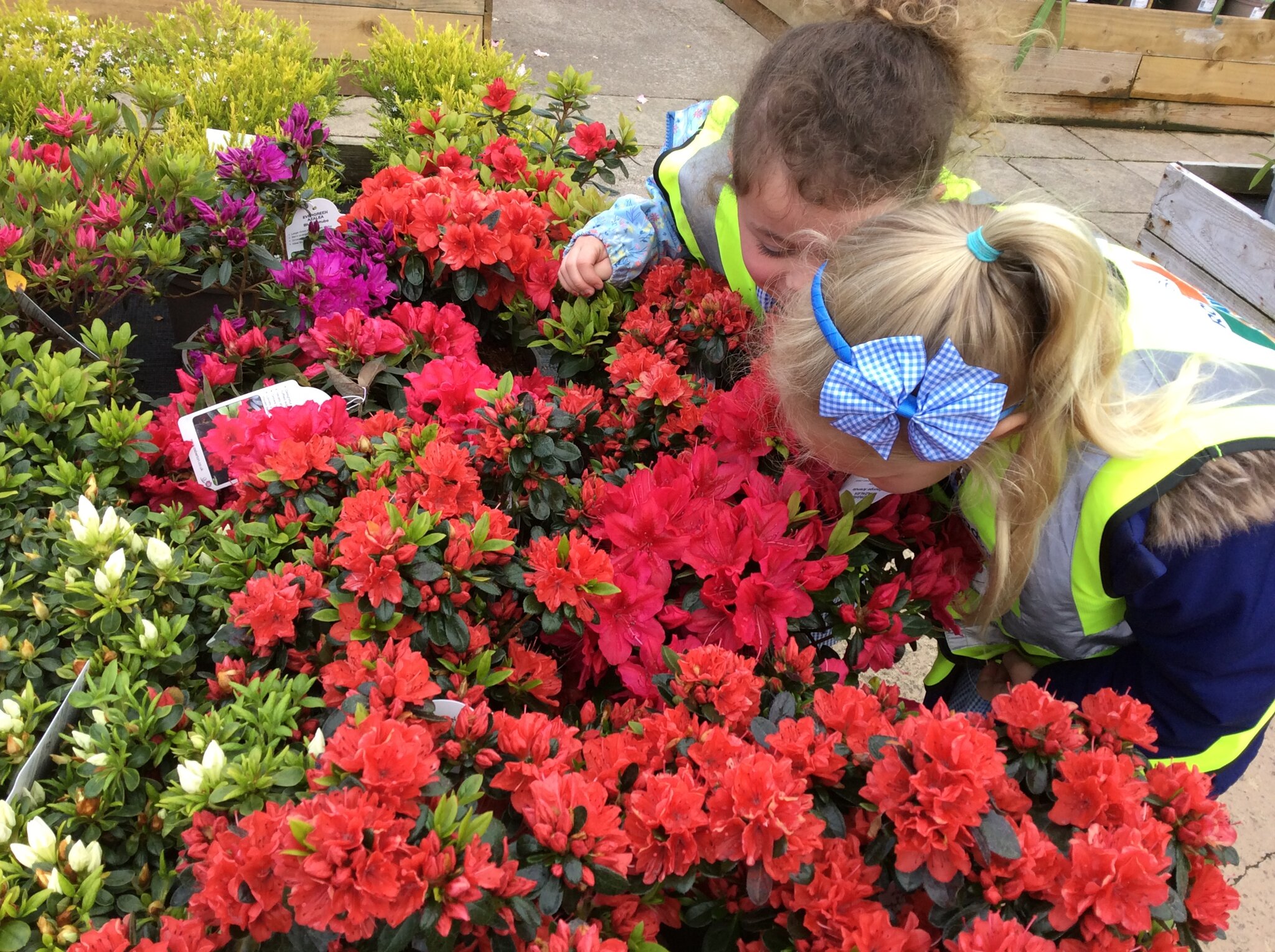 Image of Visit to the Garden Centre