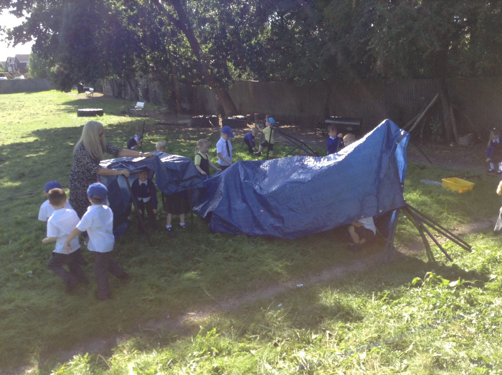 Image of Little Chicks and Ducklings Den Building