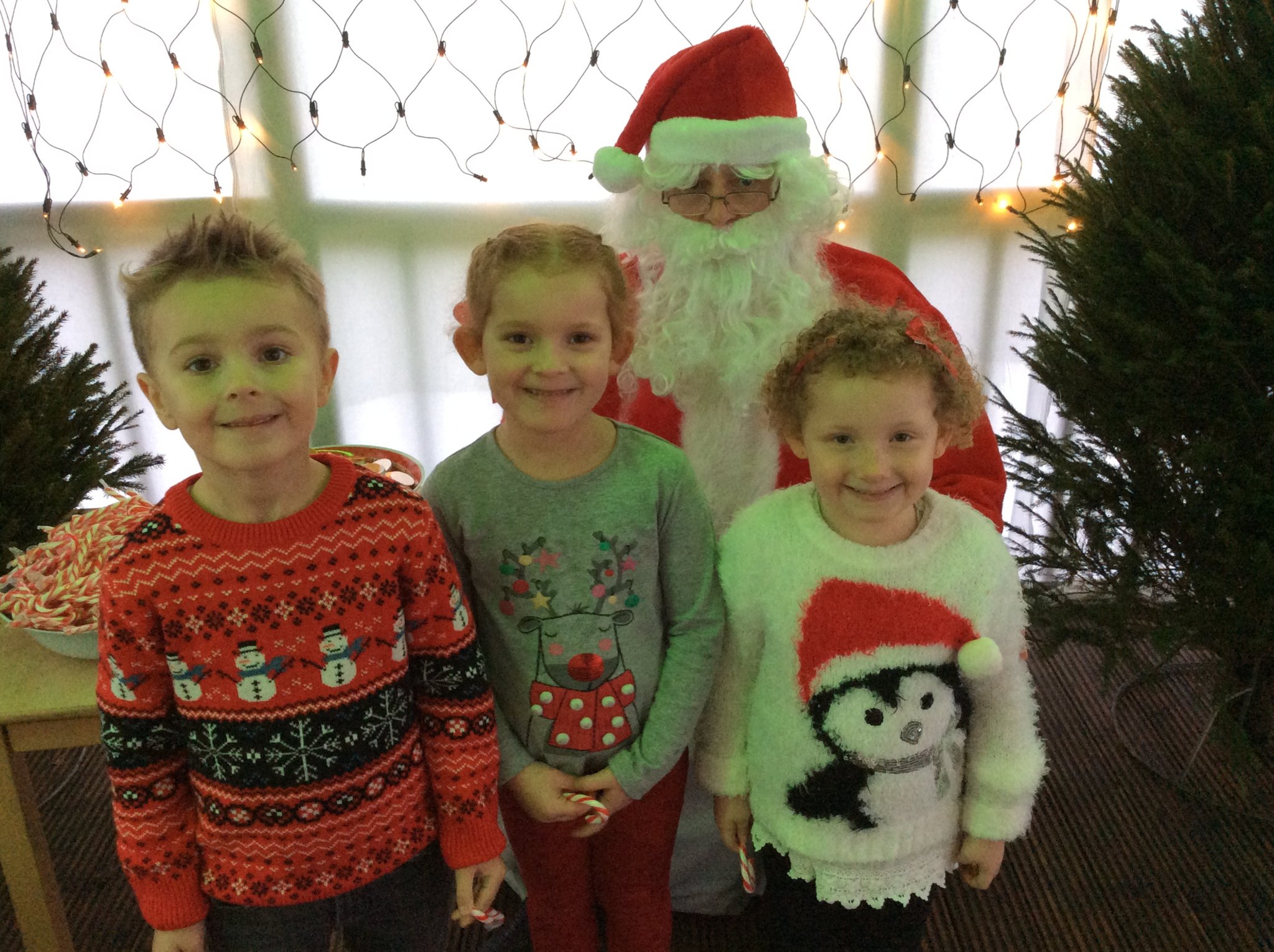 Image of Ducklings meet Father Christmas