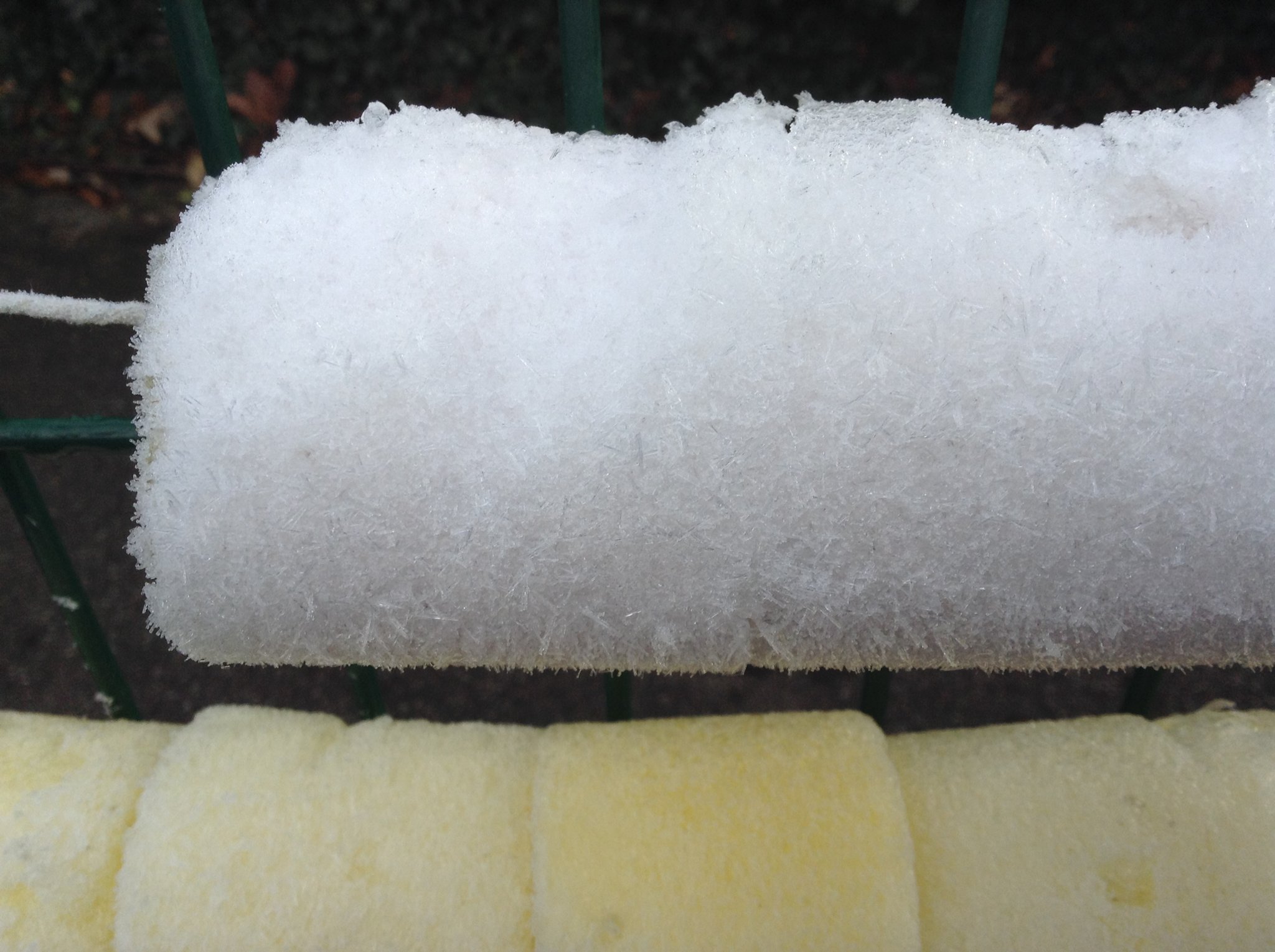 Image of Investigating the frost and ice.