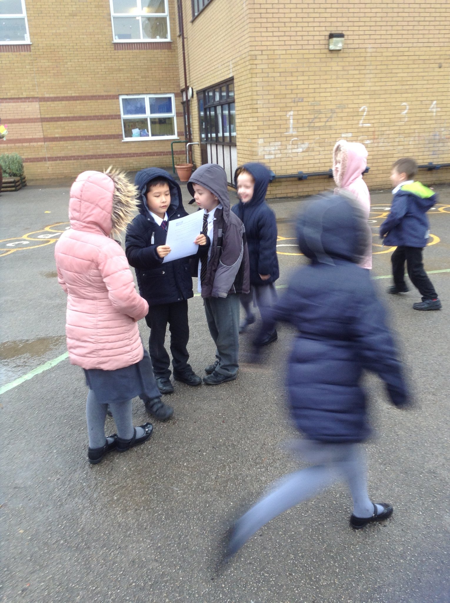 Image of Parrots Enjoy Playground Games