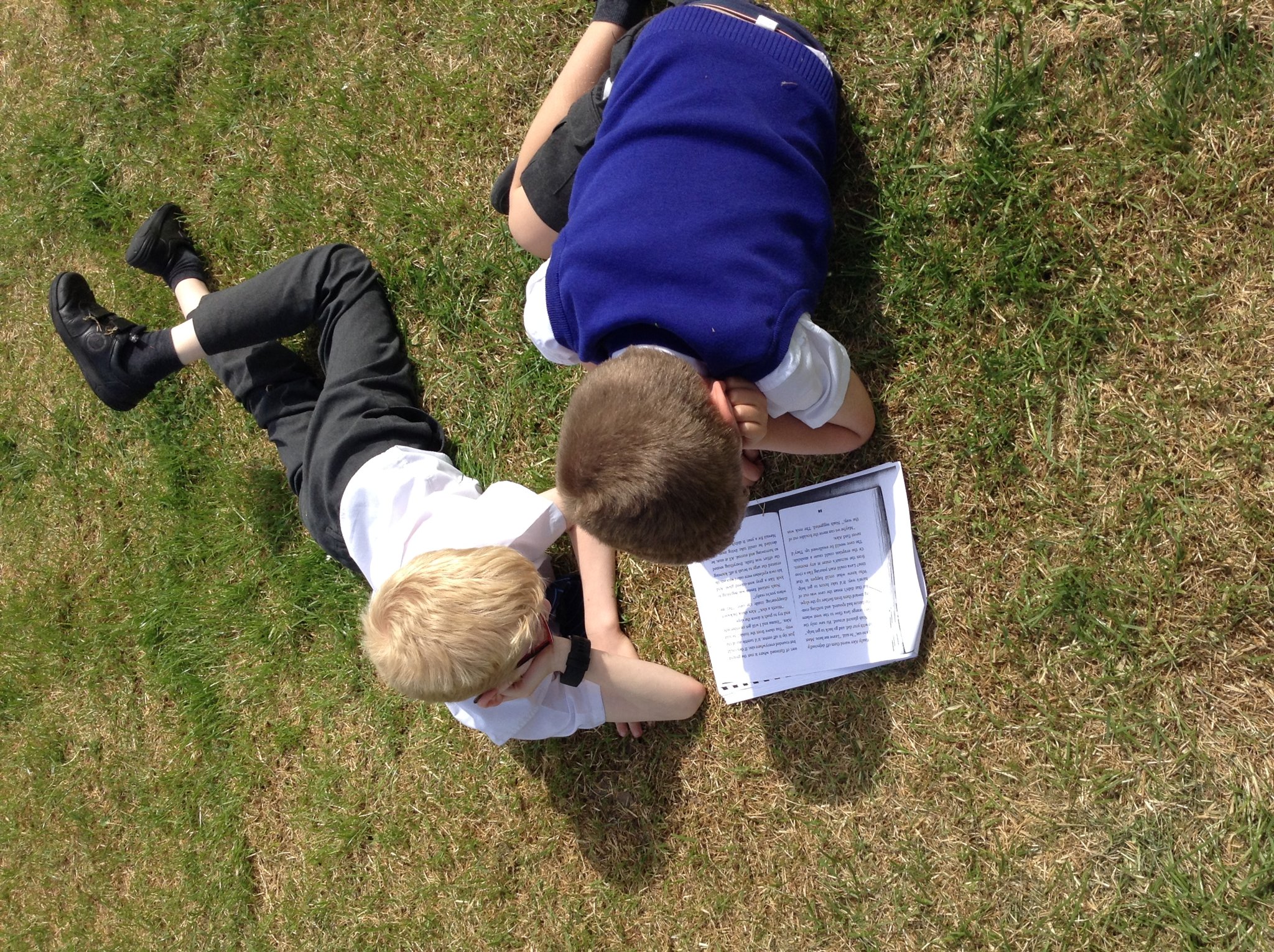 Image of Doves' reading  in the sunshine