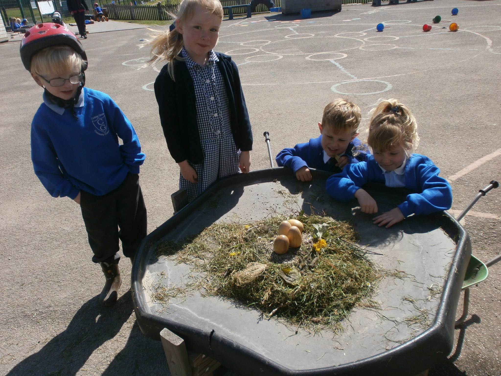 Image of Making Nests