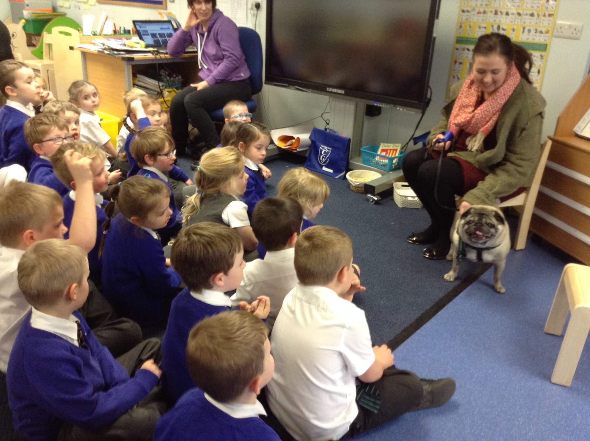 Image of A special visit from Alfie the pug 