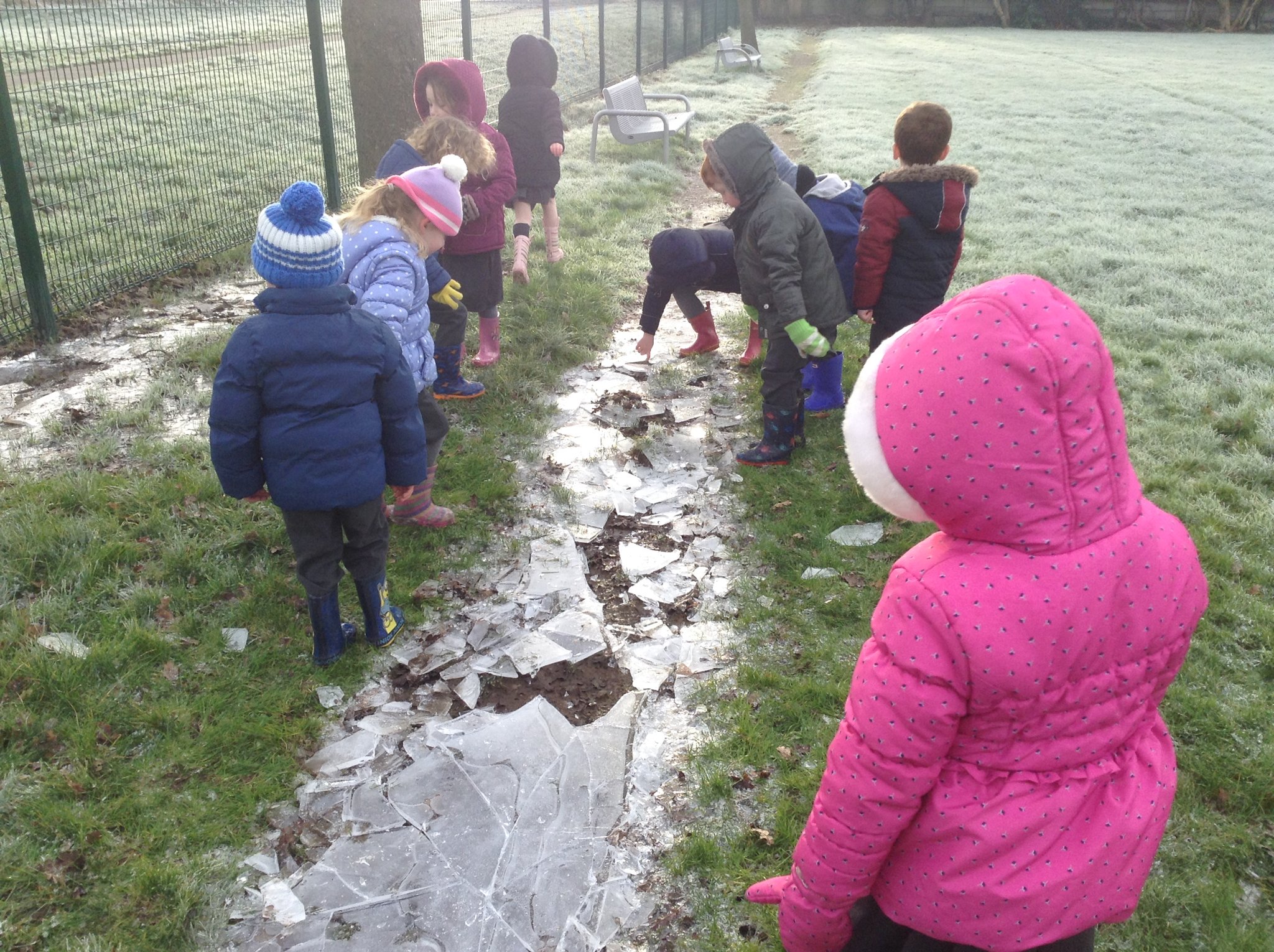 Image of Exploring the frost and ice 