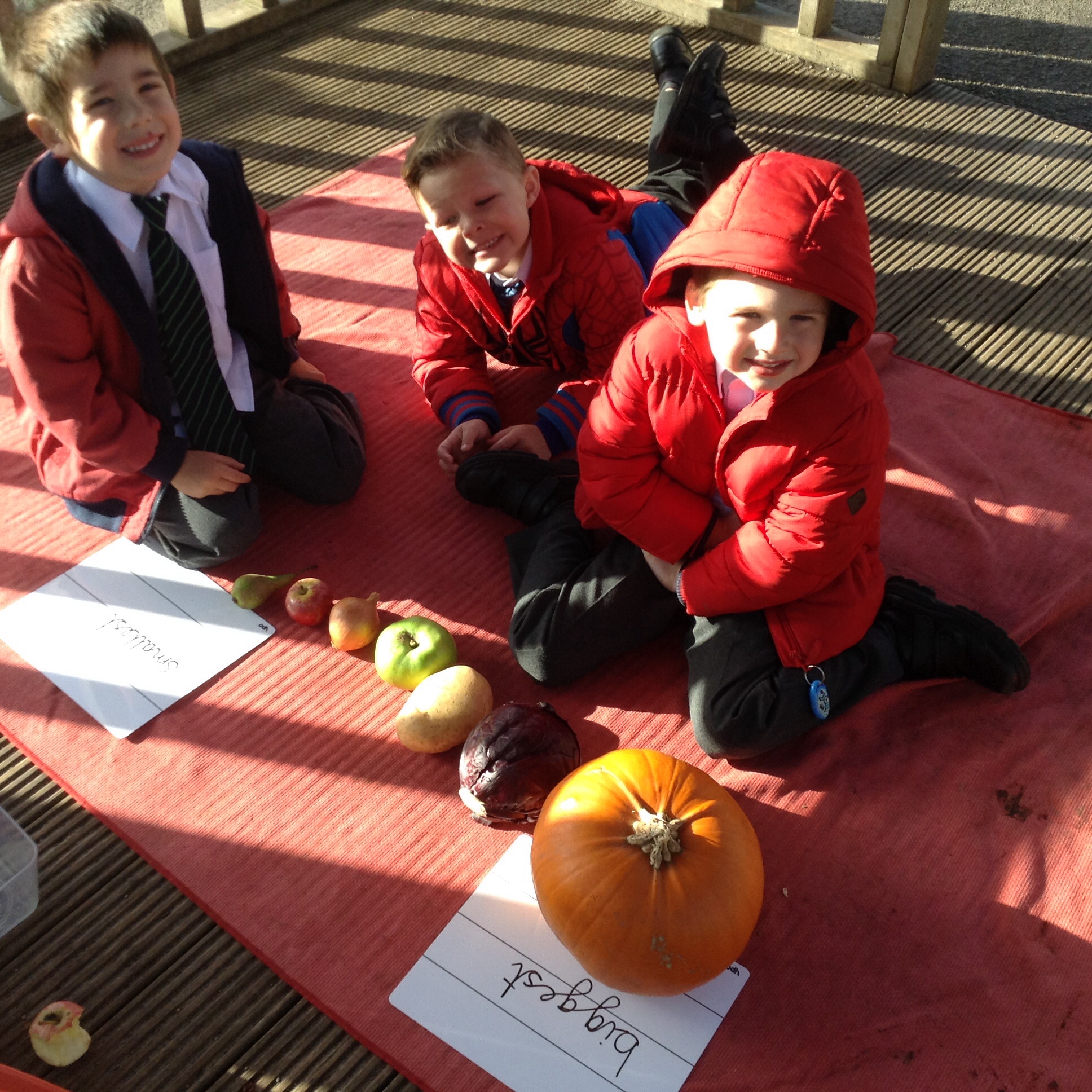 Image of Ordering harvest vegetables and fruit