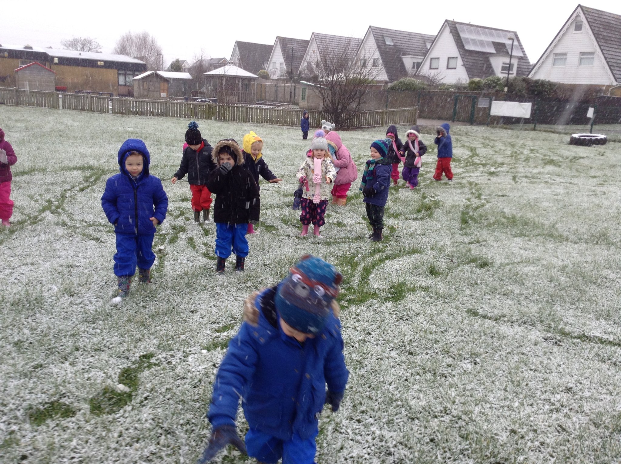 Image of Exploring the Snow 