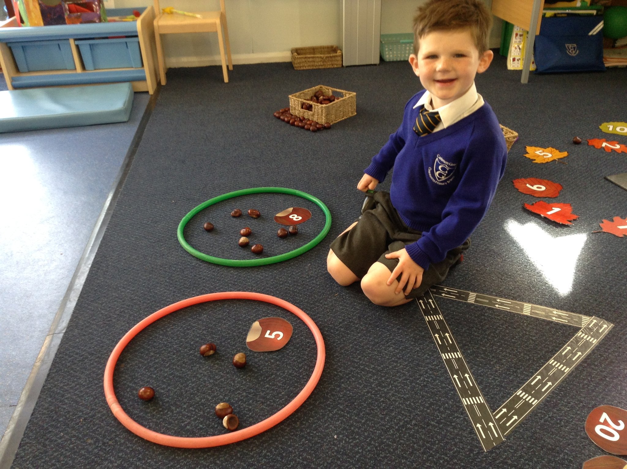 Image of Conker Counting