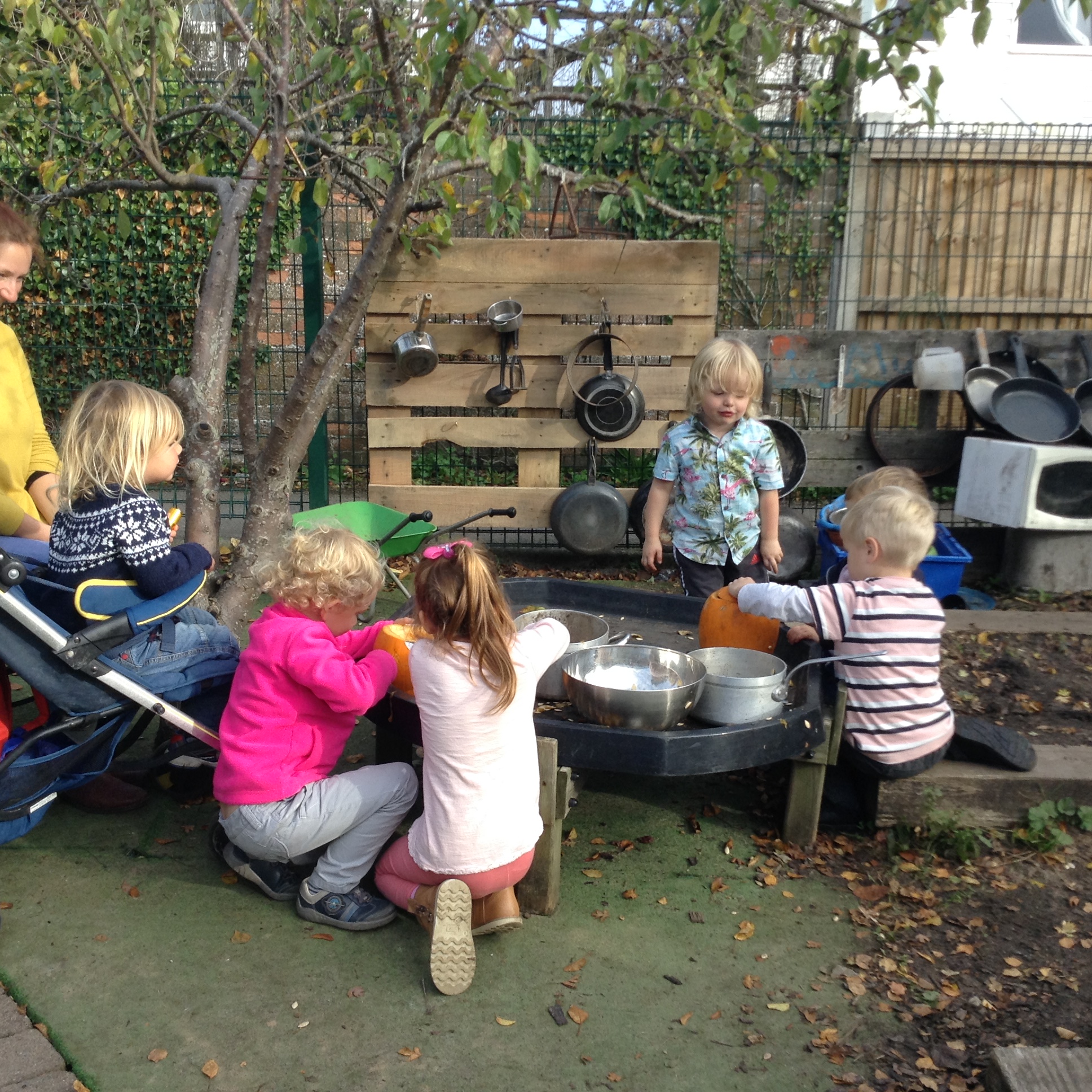 Image of Autumn Open Afternoon in Ducklings 