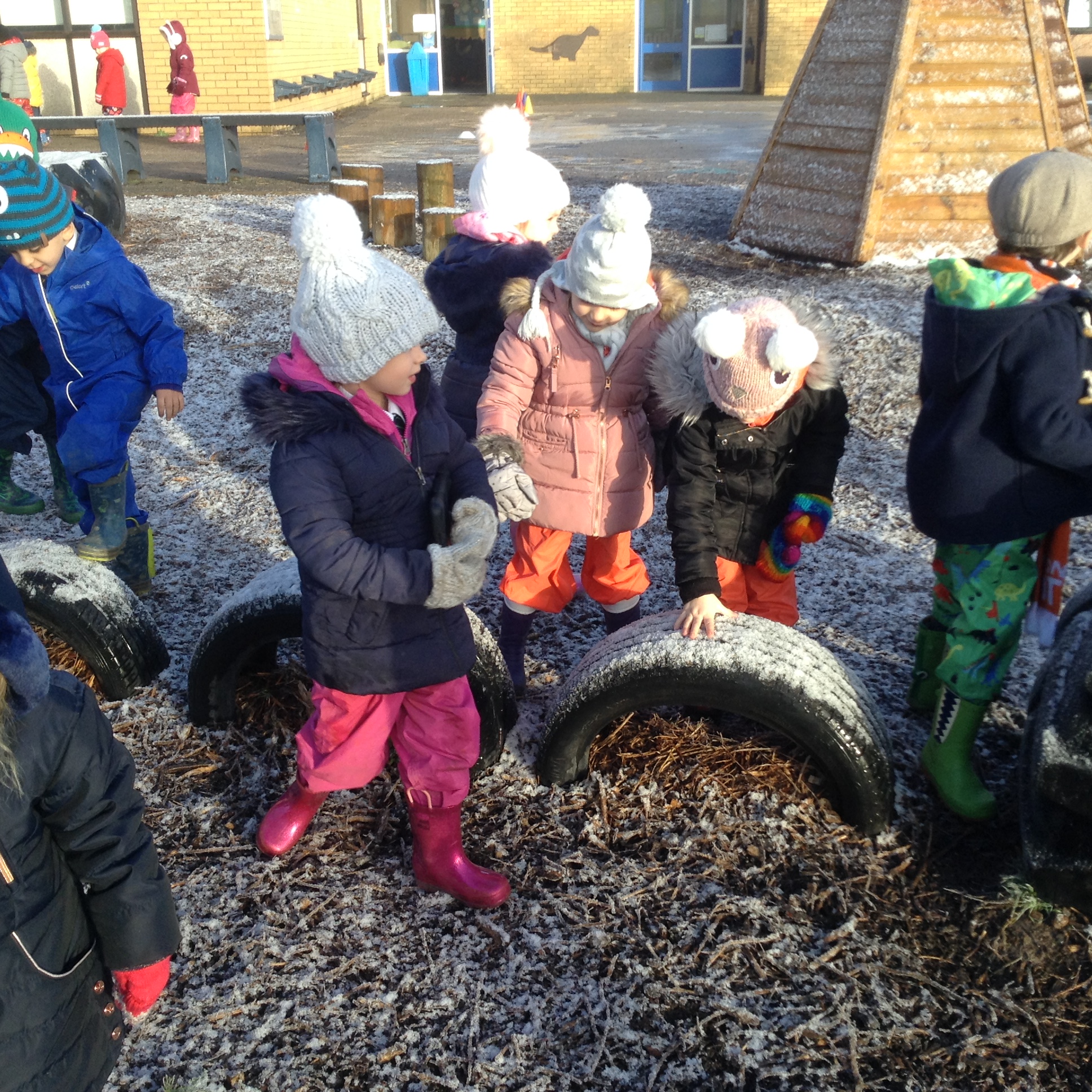 Image of Exploring the frost and ice 