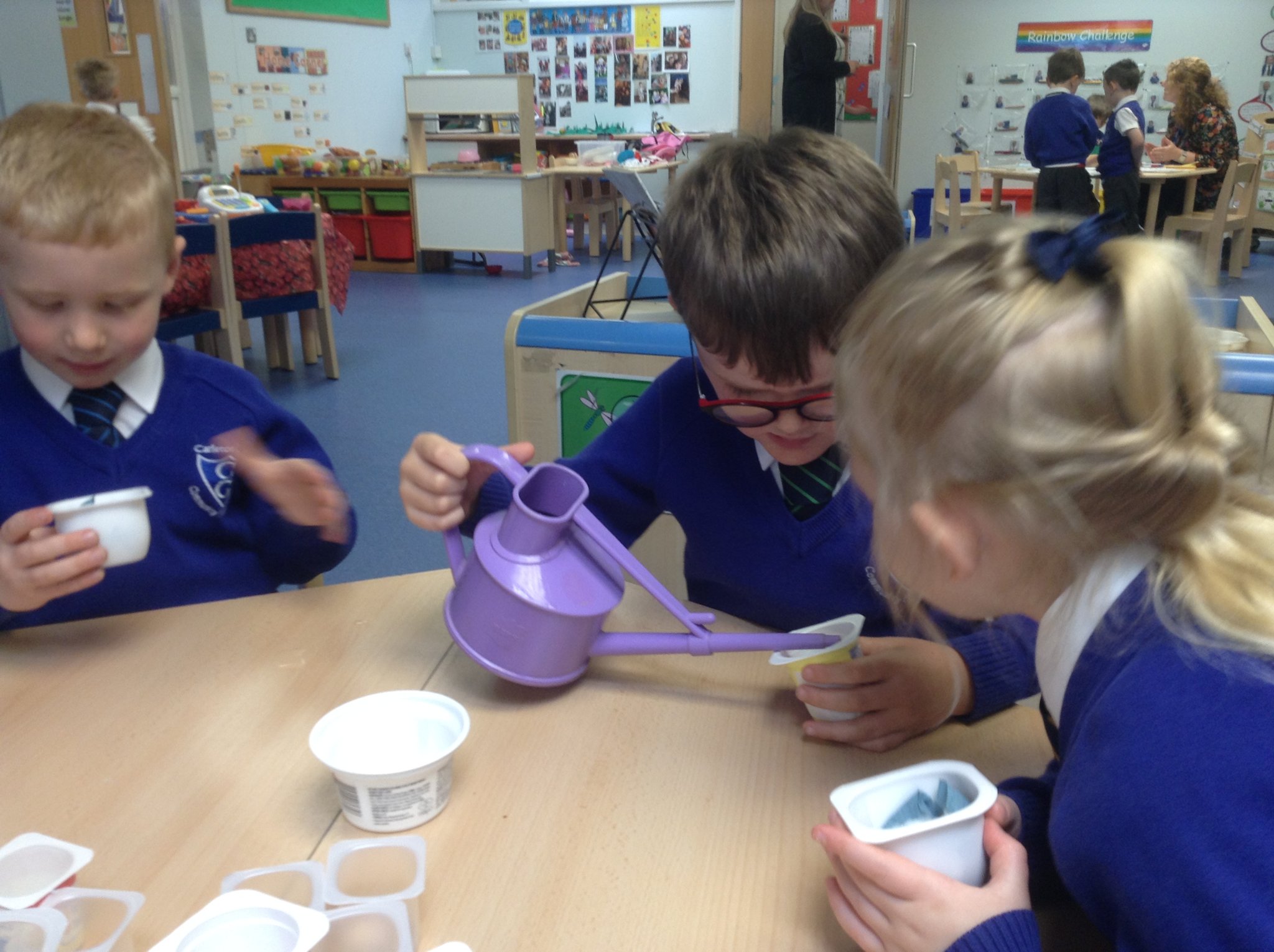 Image of Planting Cress Seeds