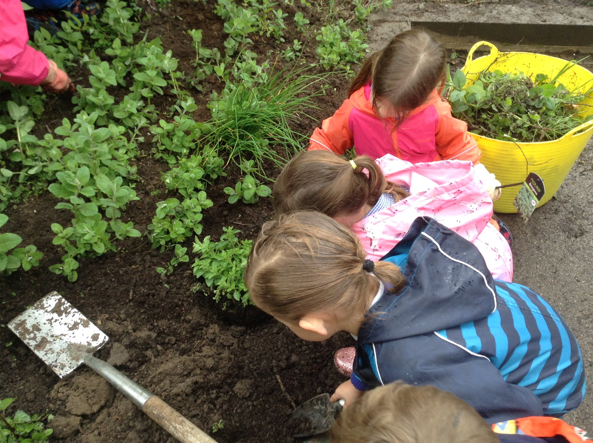 Image of Gardening Fun