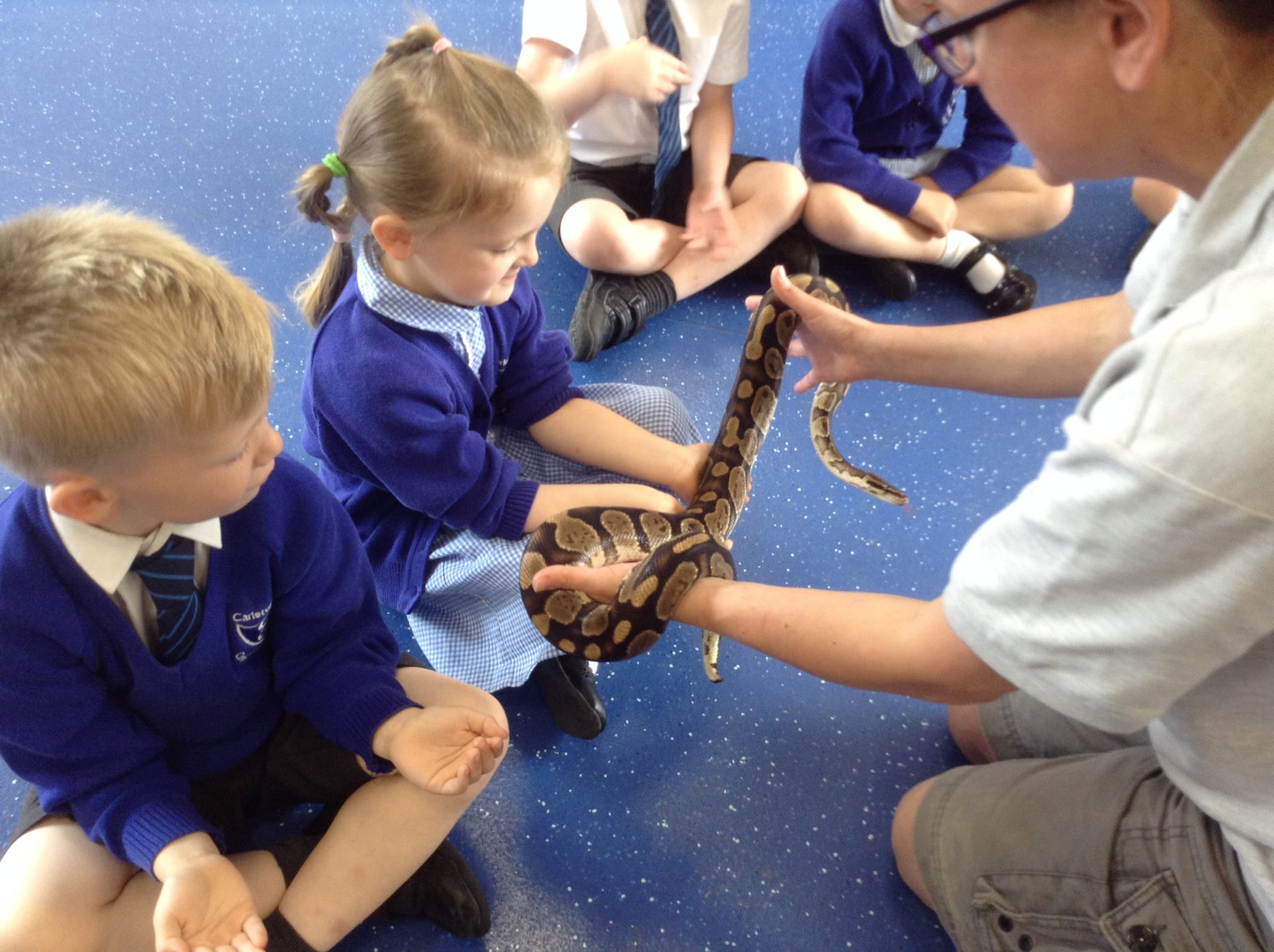 Image of Hands on Animals 