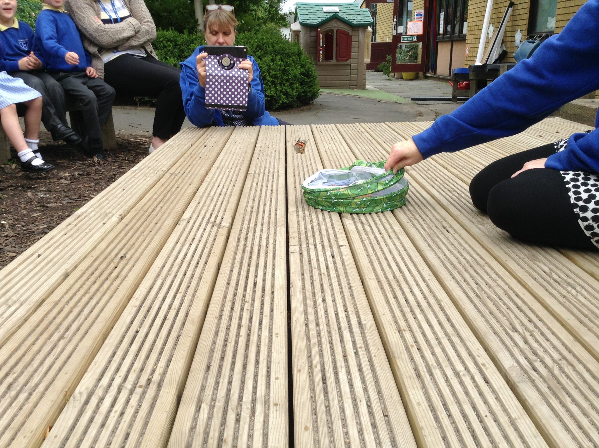 Image of Releasing our butterflies