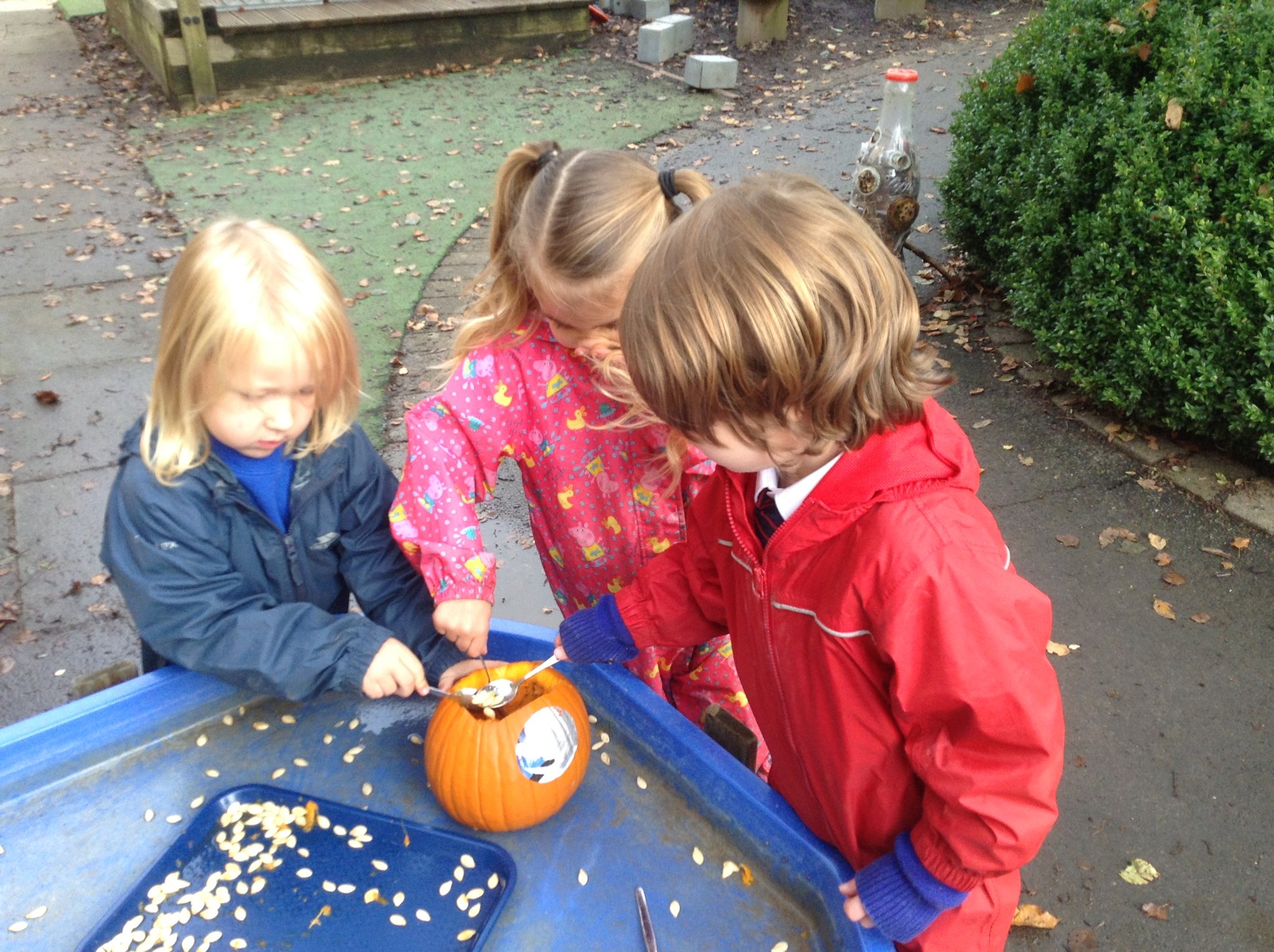 Image of Scooping Pumpkins