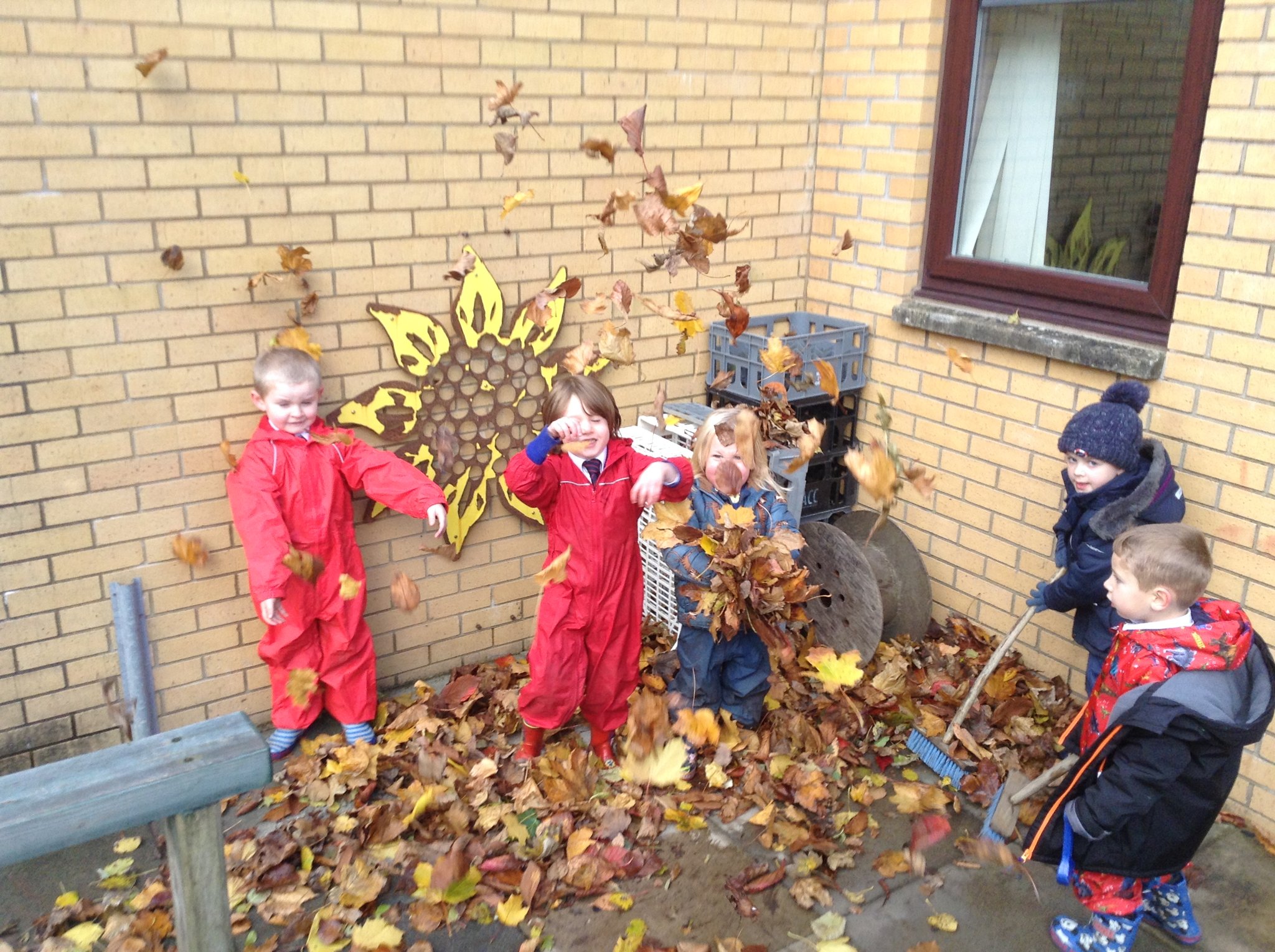 Image of Autumn Leaves