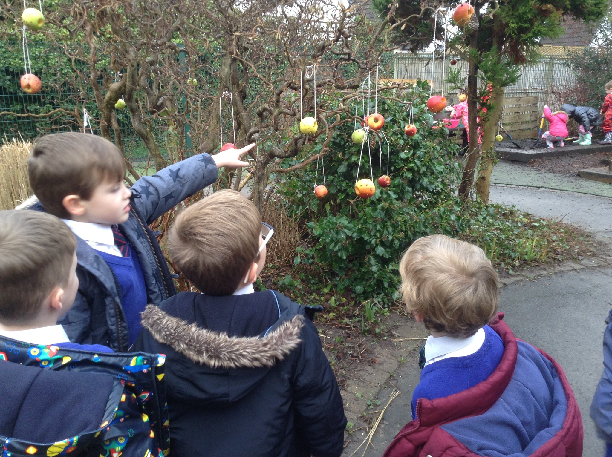 Image of Checking the bird feeders