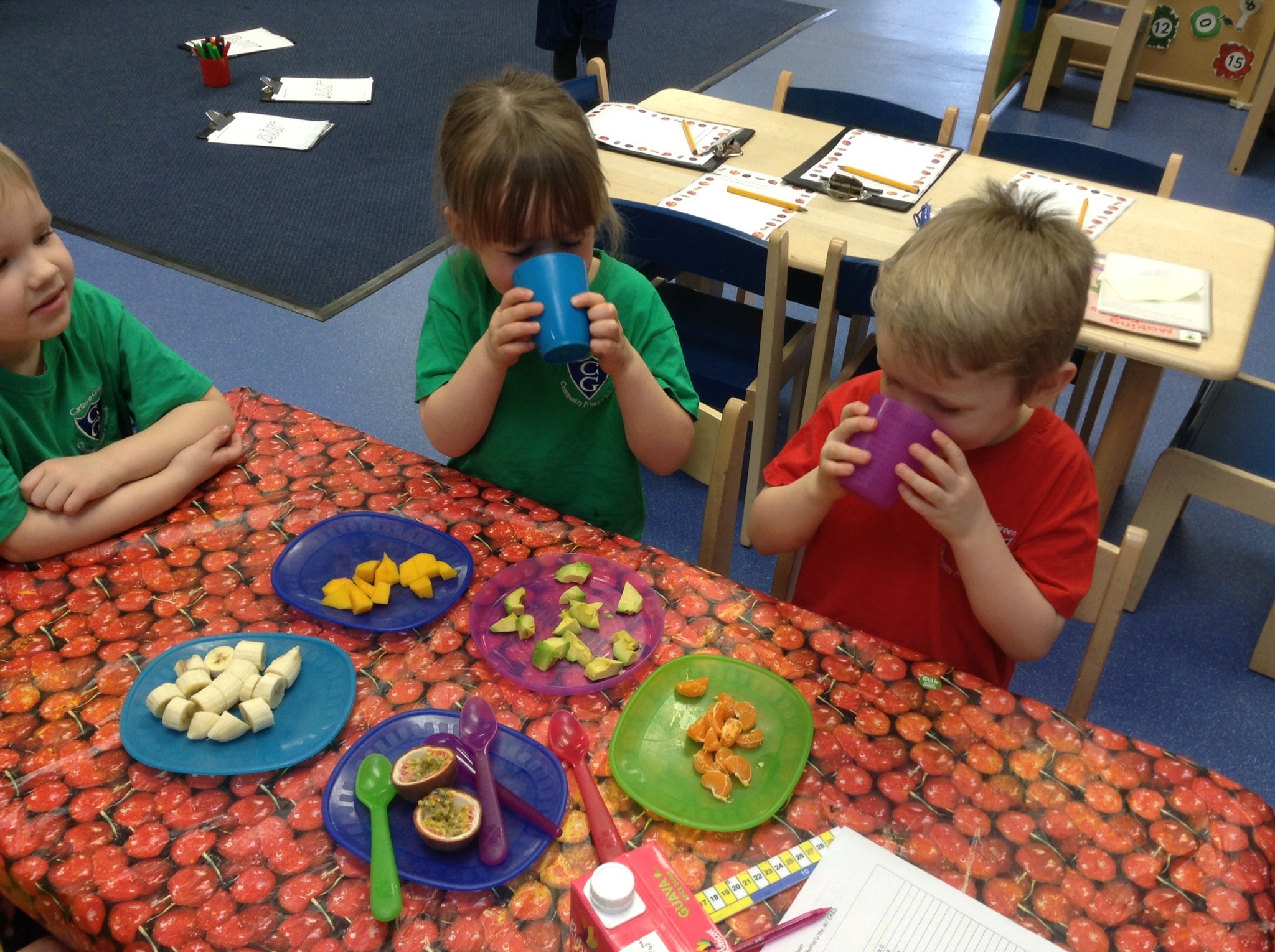 Image of Tasting Tropical Fruits