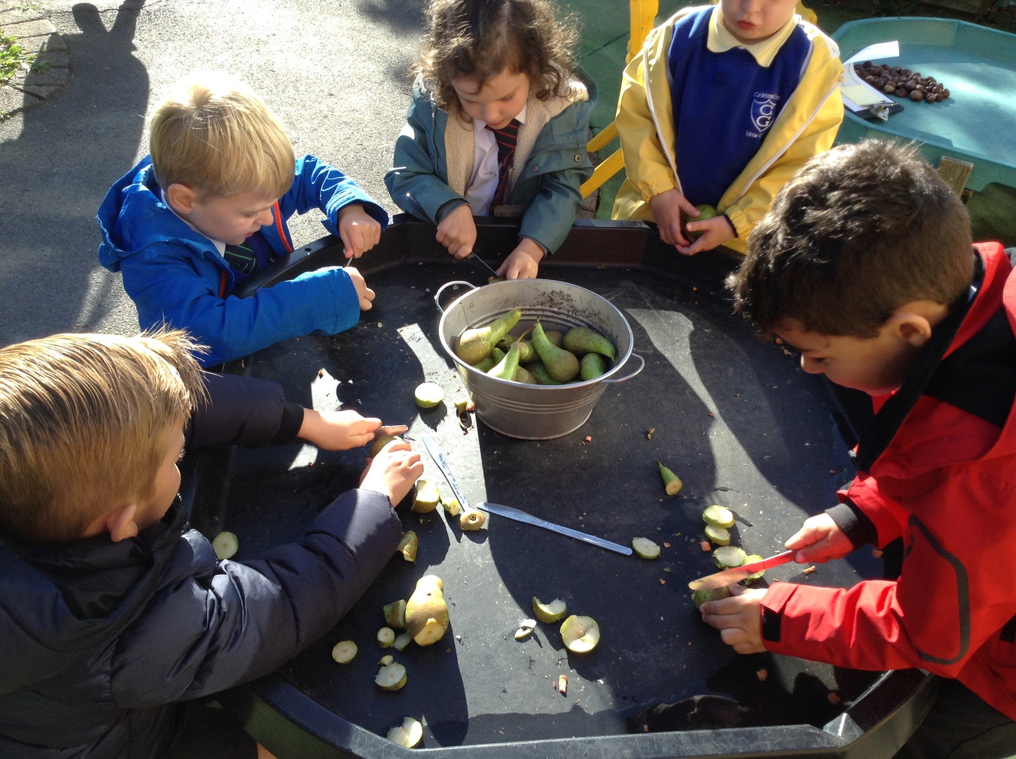 Image of Chopping fruit 