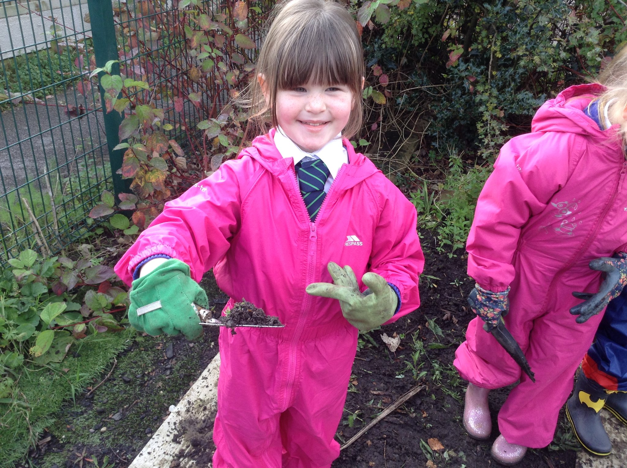 Image of Digging with trowels 