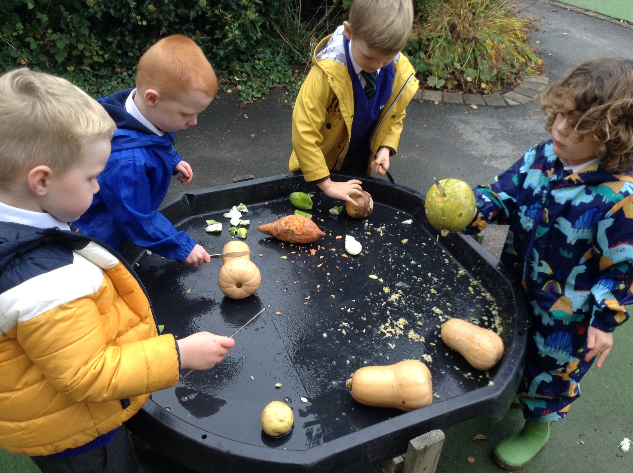 Image of Chopping vegetables 