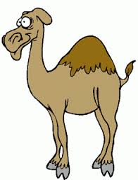 Image of The Very Hopeless Camel
