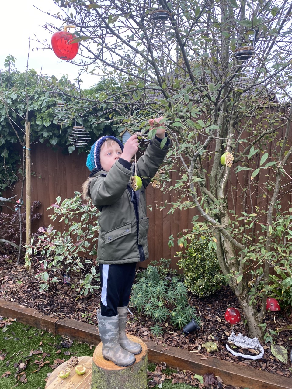 Image of The Big Schools' and Garden Bird Watch