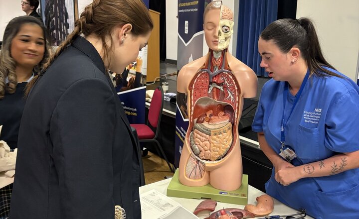 Carmel College students looking through careers day stalls 
