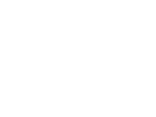 Carmel VI Form