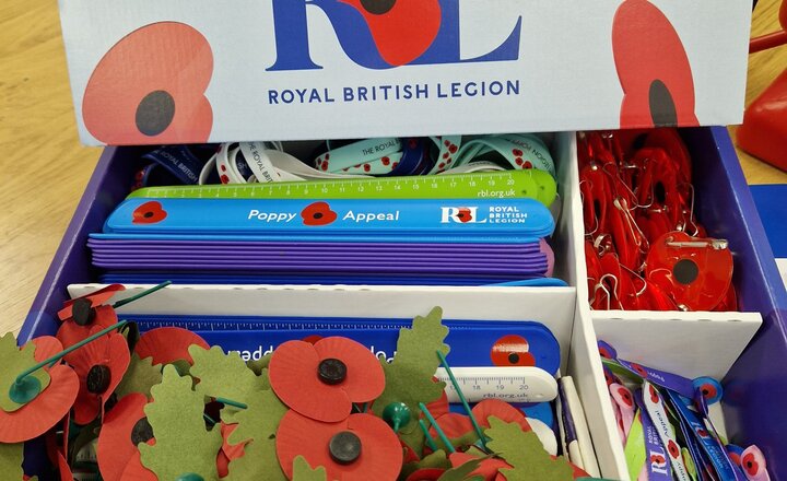 Image of Poppy Appeal