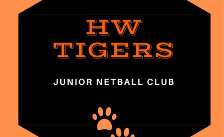 Image of Hatch Warren Juniors Netball Club