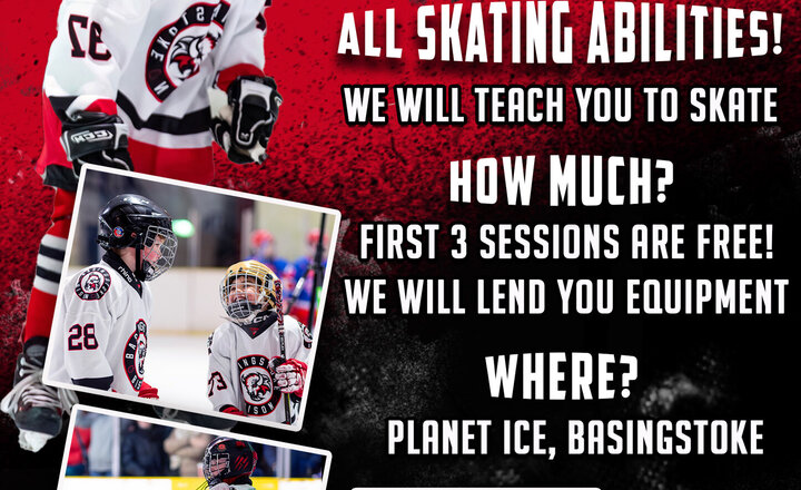 Image of Basingstoke Junior Bisons - free sessions