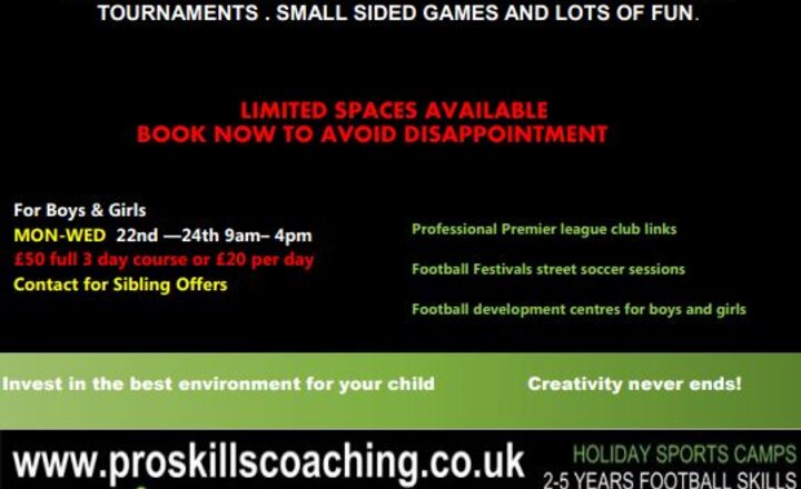 Image of Pro Skills Half Term Multi-Sports Camp