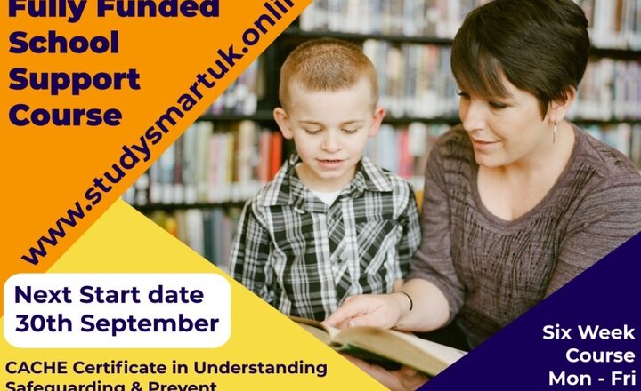 Image of Fully Funded (FREE) school support courses online