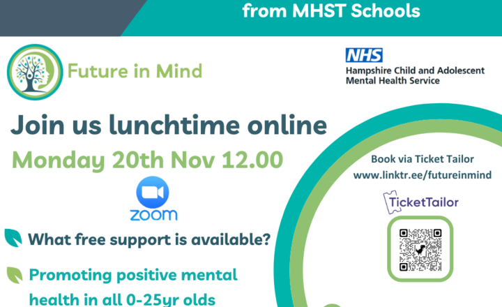 Image of Free Online MHST Support Session