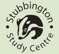 Image of Year 6 Stubbington Parent Information Evening
