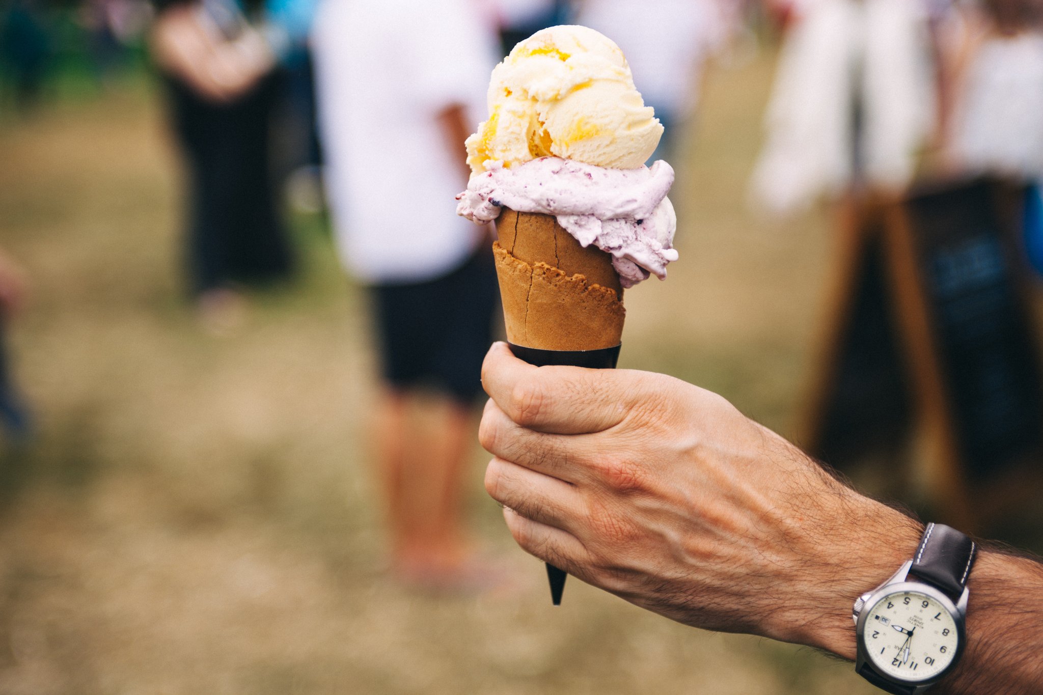 Image of Greenbank Summer Fair