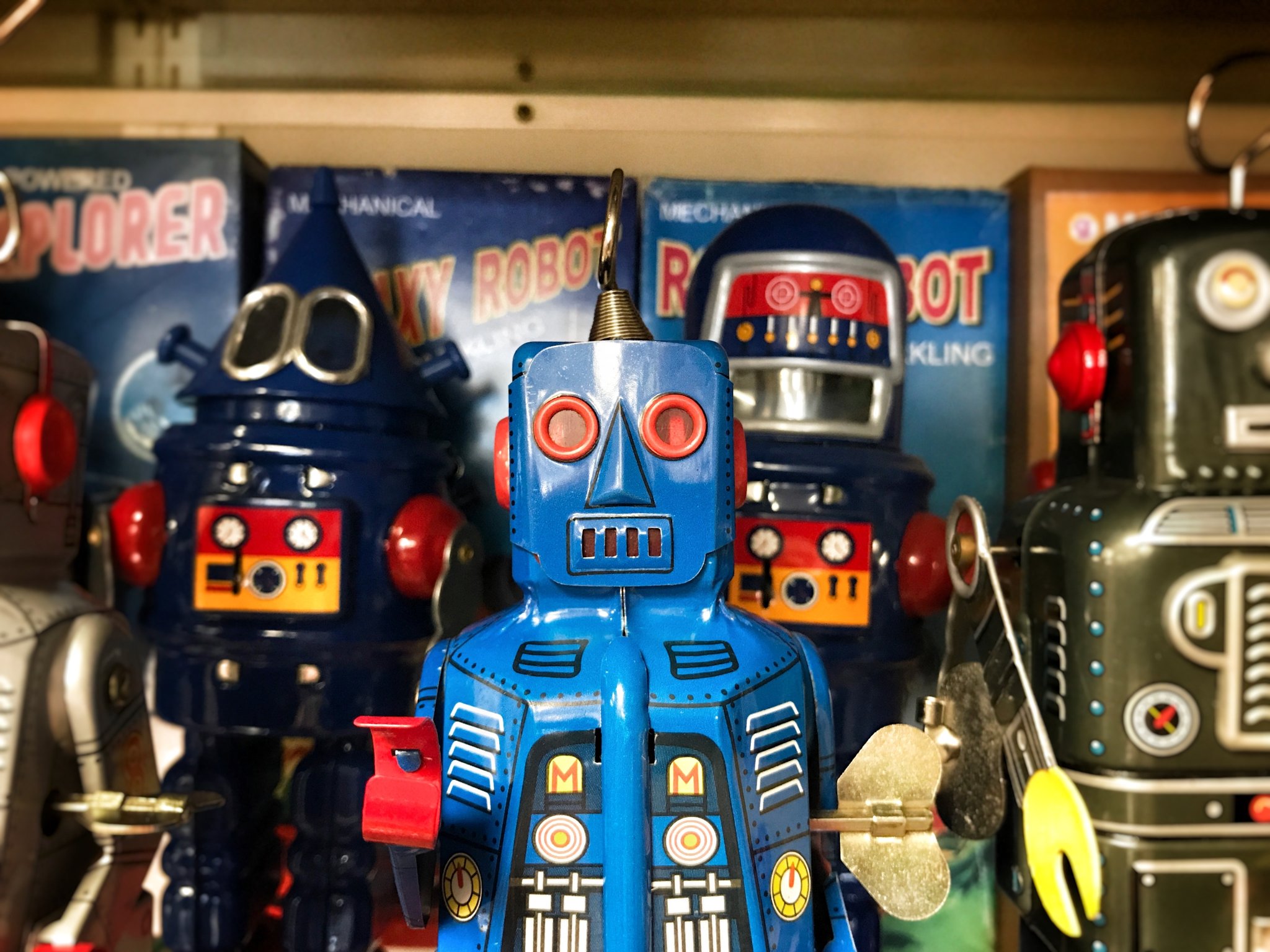 Image of Year 4 Roaming Robots - Greenbank